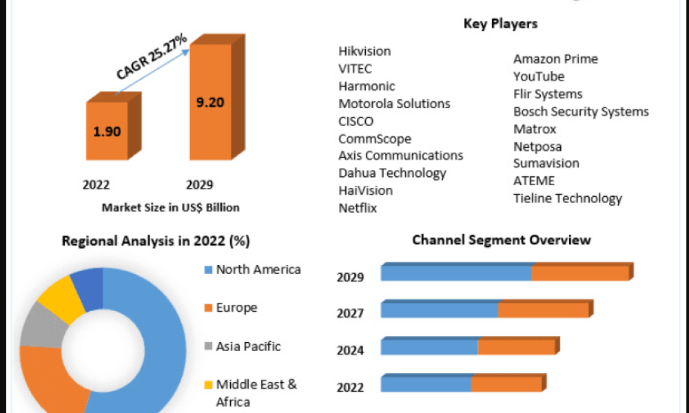 Next-Gen Video Codecs Market