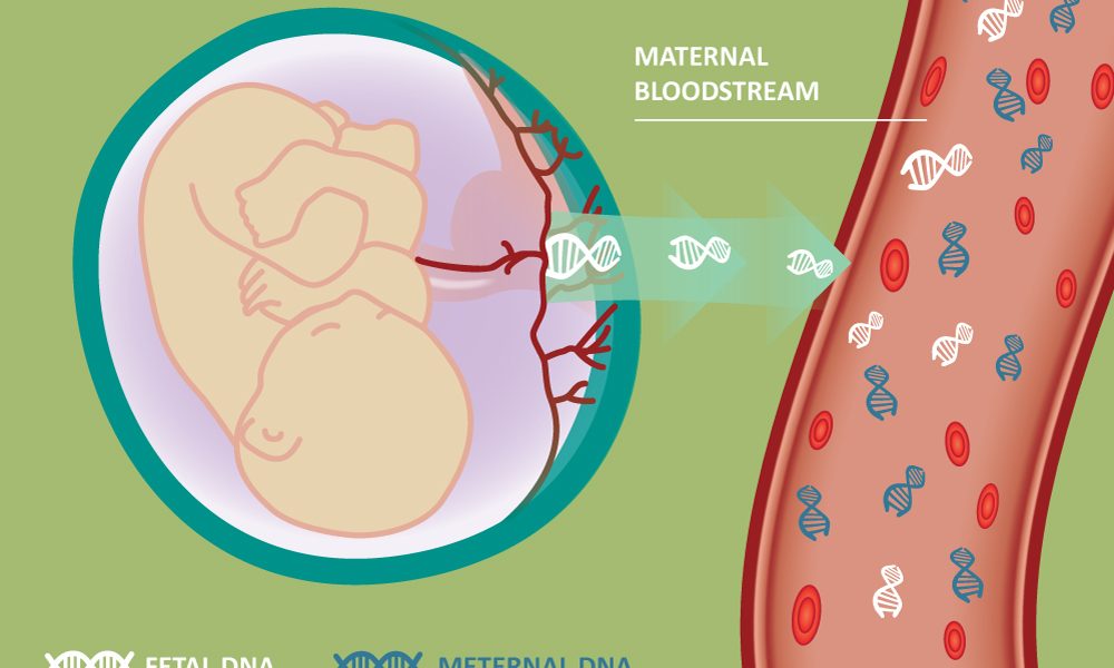 Cell-Free Fetal DNA Testing Market