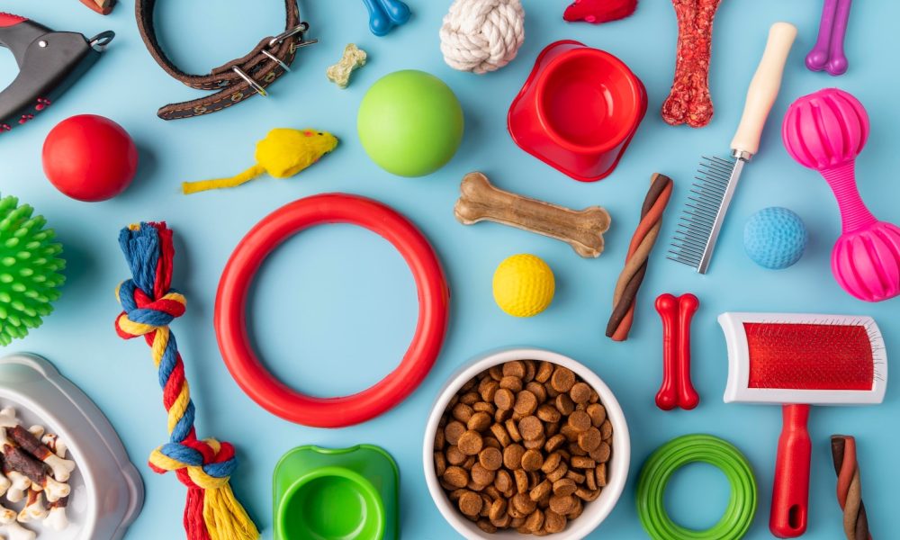 pet-accessories-still-life-concept-with-colorful-objects_23-2148949578[1]