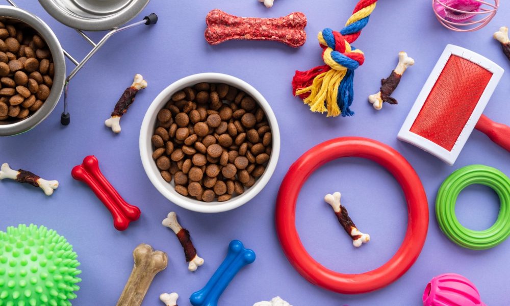 pet-accessories-still-life-concept-with-pet-dry-food_23-2148949564[1]