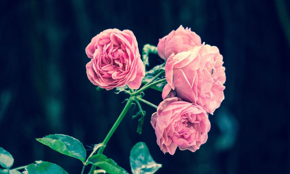 Floriculture Market