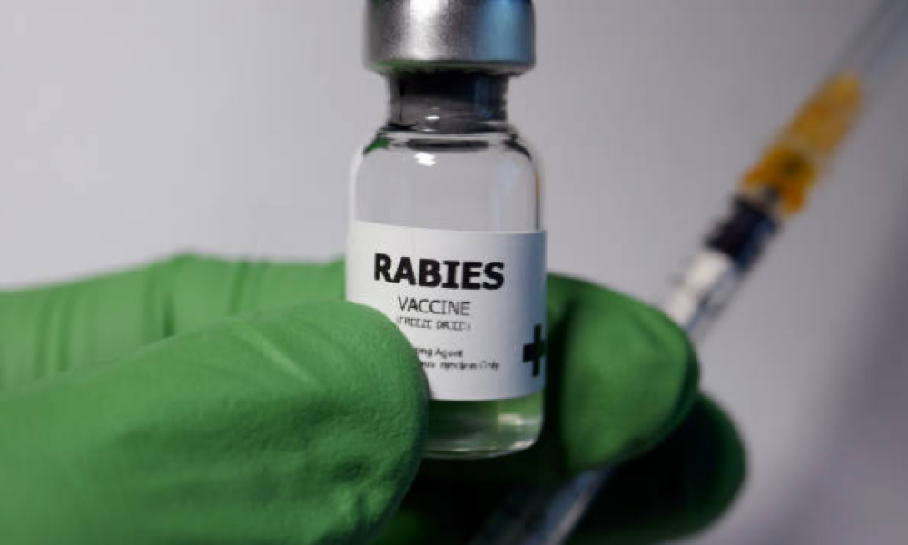 rabies vaccine market