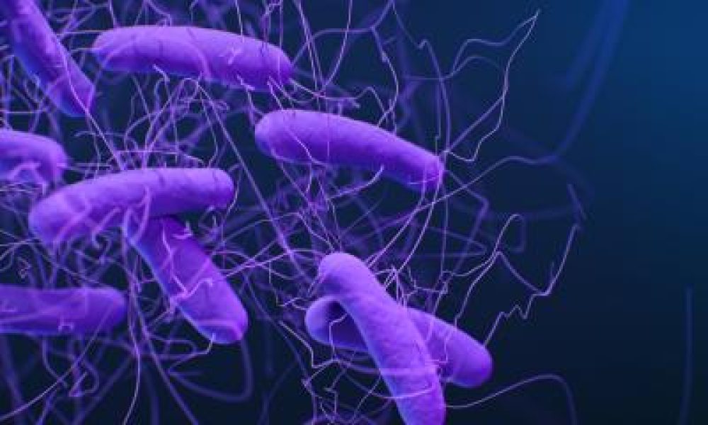 Gastrointestinal Bacterial Testing