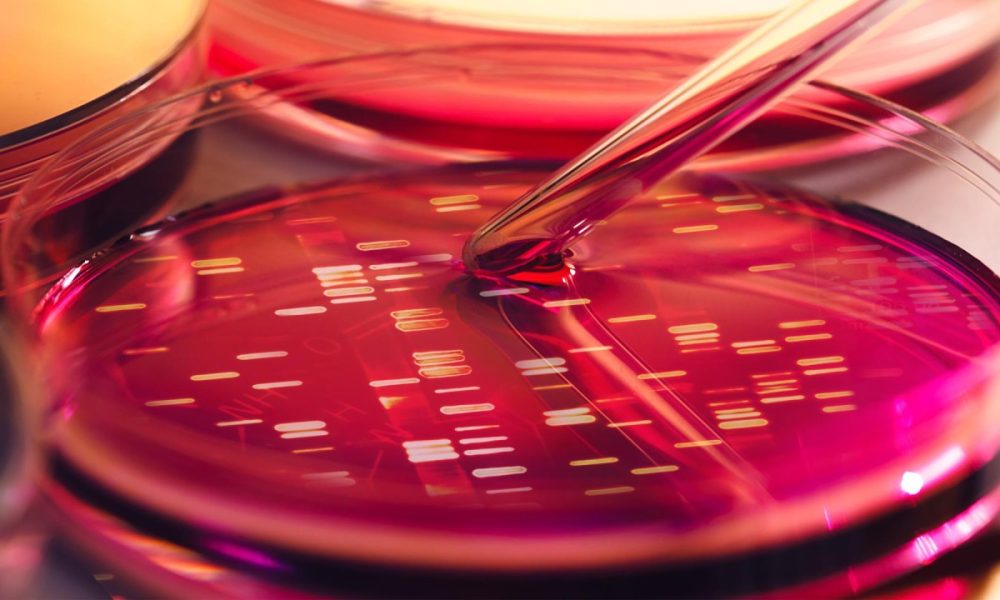 red biotechnology