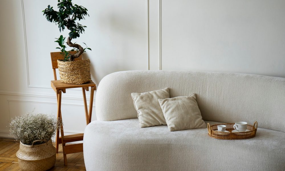 room-decor-with-potted-plants-sofa_23-2149428020[1]