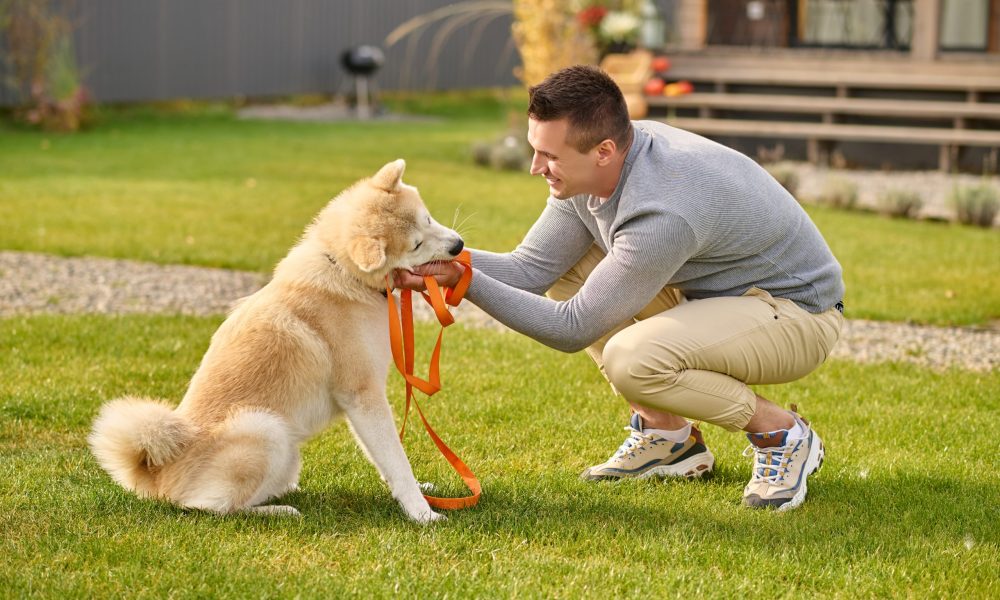 Top 7 Dog Toys That Will Keep Your Pet Happy and Active