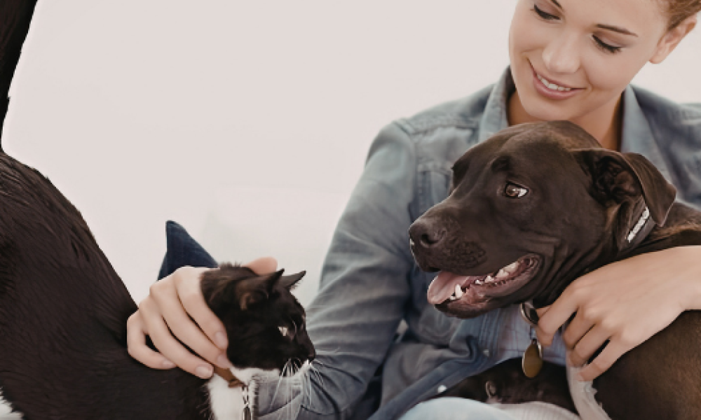 Premium Pet Essentials