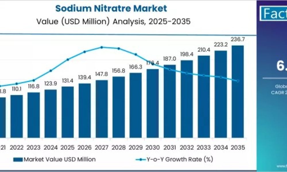 sodium-nitratre-market-market-value-analysis