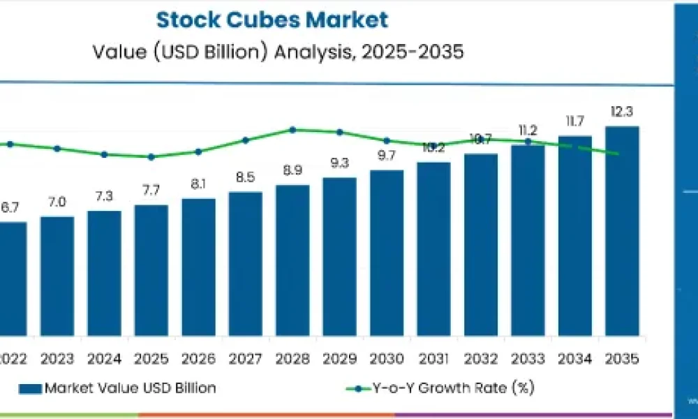 stock-cubes-market