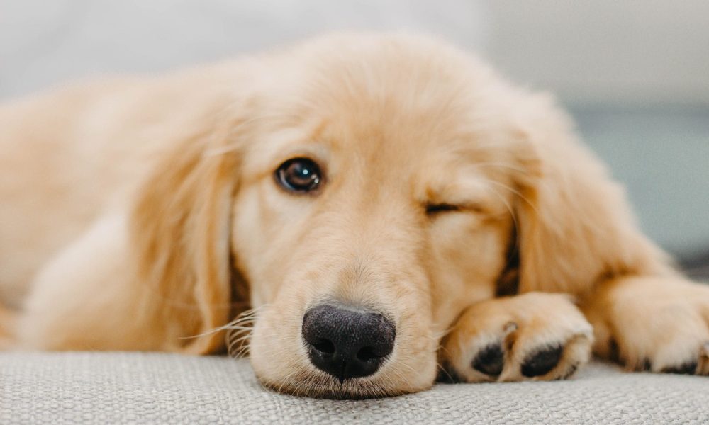 taylor-sondgeroth-ltsKOg_q_Gc-unsplash