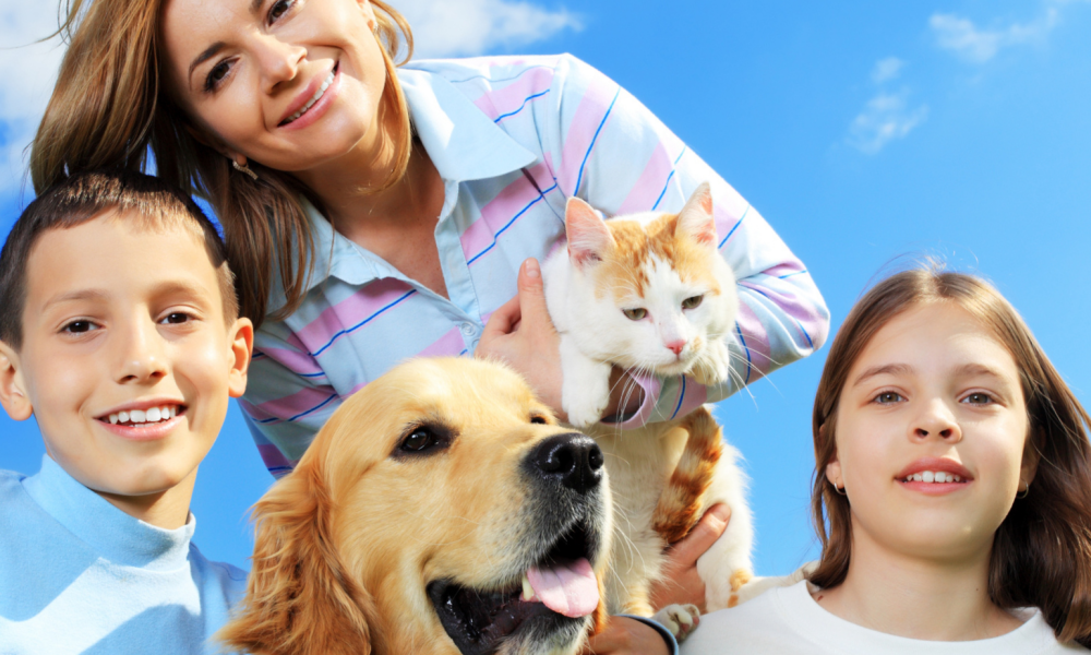 Tisha's Happy Tails