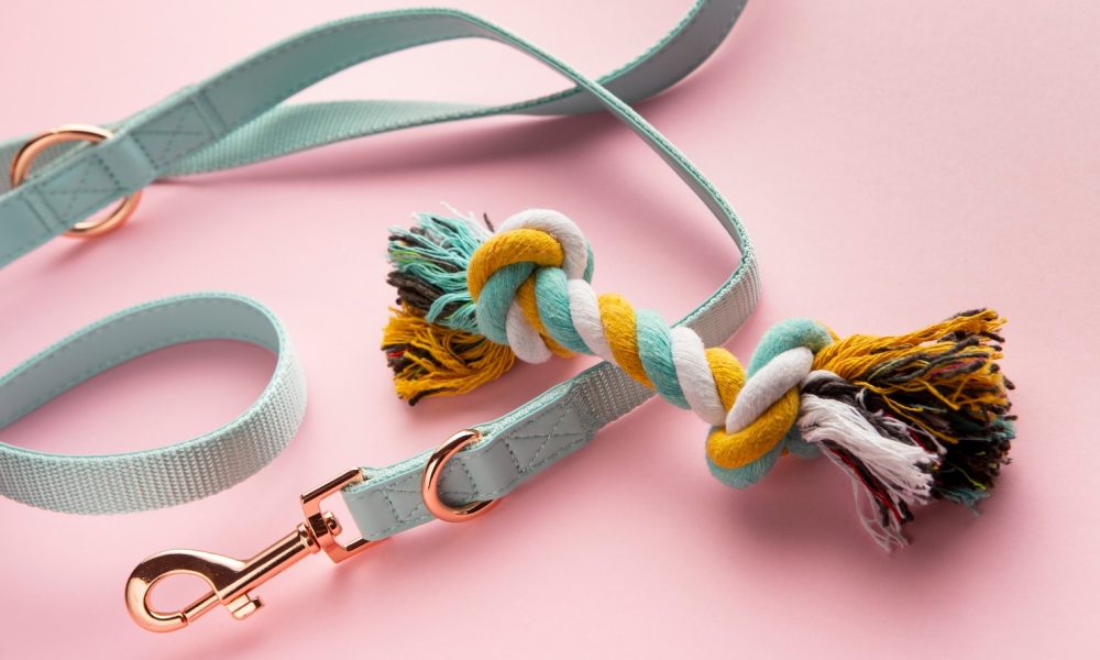 top-view-pet-accessories_23-2150930394[1]