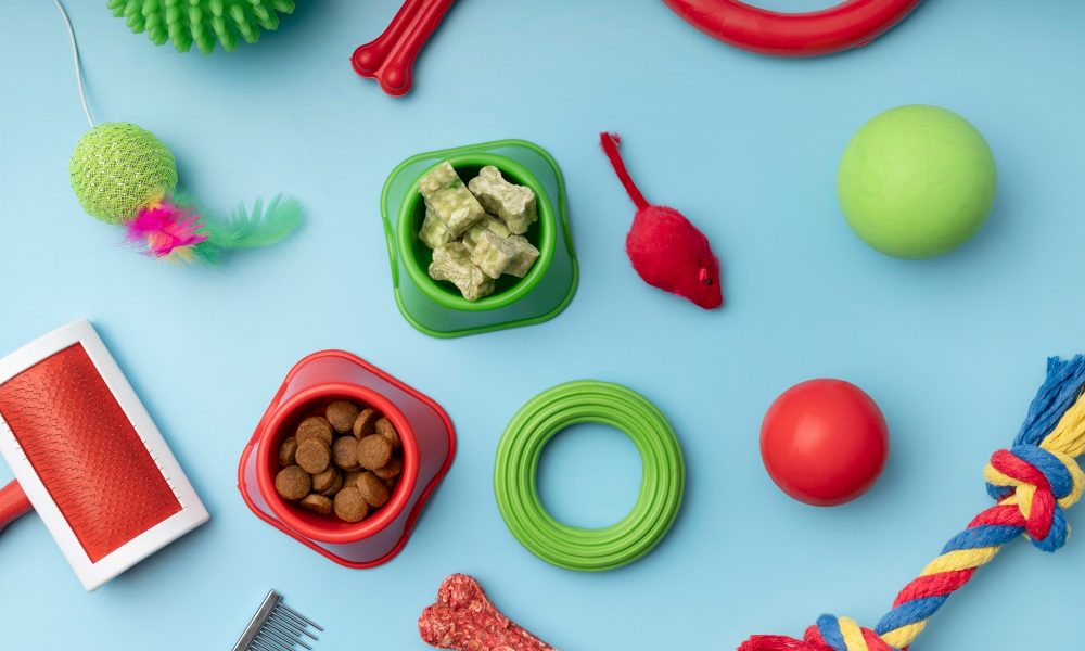 top-view-various-colorful-pet-accessories-still-life-concept_23-2148949590[1]