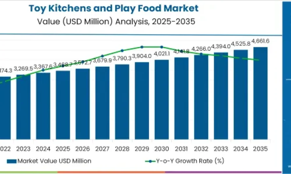 Toy Kitchens and Play Food Market