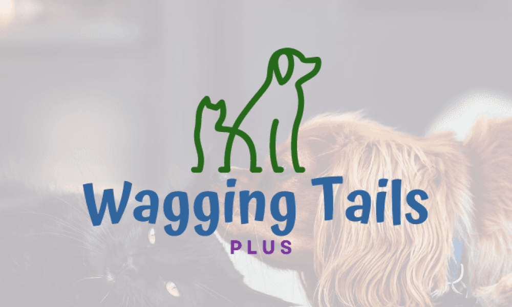 waggingtailsplus.com_pressrelease feautured image