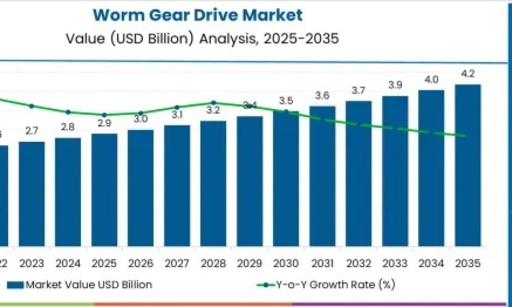 Worm Gear Drive Market