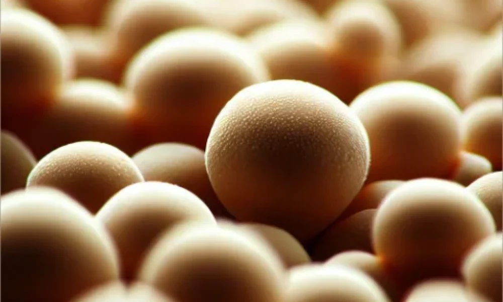 yeast webp